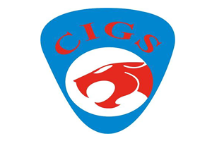 CIGS 2